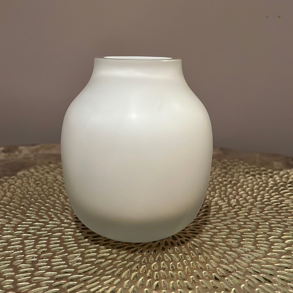 West Elm Frosted Glass Vase